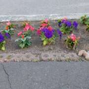 ヒメ日記 2025/05/22 17:59 投稿 みやこ 完熟ばなな札幌・すすきの