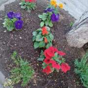 ヒメ日記 2025/05/26 20:49 投稿 みやこ 完熟ばなな札幌・すすきの