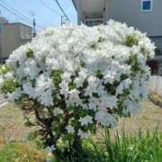 ヒメ日記 2025/06/01 13:35 投稿 みやこ 完熟ばなな札幌・すすきの