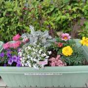 ヒメ日記 2025/06/06 15:40 投稿 みやこ 完熟ばなな札幌・すすきの