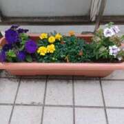 ヒメ日記 2025/06/06 19:59 投稿 みやこ 完熟ばなな札幌・すすきの