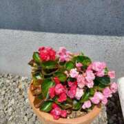 ヒメ日記 2025/06/10 12:38 投稿 みやこ 完熟ばなな札幌・すすきの