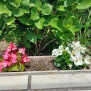 ヒメ日記 2025/06/10 18:02 投稿 みやこ 完熟ばなな札幌・すすきの