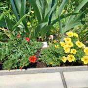 ヒメ日記 2025/06/10 20:59 投稿 みやこ 完熟ばなな札幌・すすきの