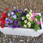 ヒメ日記 2025/06/11 16:39 投稿 みやこ 完熟ばなな札幌・すすきの