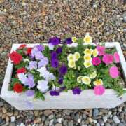 ヒメ日記 2025/06/11 19:29 投稿 みやこ 完熟ばなな札幌・すすきの