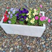 ヒメ日記 2025/06/12 13:59 投稿 みやこ 完熟ばなな札幌・すすきの