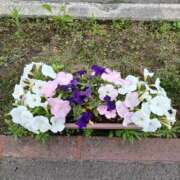 ヒメ日記 2025/06/13 12:12 投稿 みやこ 完熟ばなな札幌・すすきの