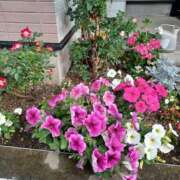 ヒメ日記 2025/06/15 20:59 投稿 みやこ 完熟ばなな札幌・すすきの