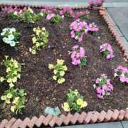 ヒメ日記 2025/06/22 17:49 投稿 みやこ 完熟ばなな札幌・すすきの