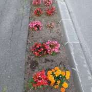 ヒメ日記 2025/06/24 20:29 投稿 みやこ 完熟ばなな札幌・すすきの