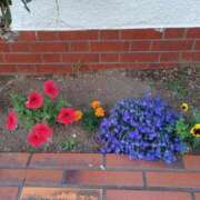 ヒメ日記 2025/07/01 17:09 投稿 みやこ 完熟ばなな札幌・すすきの