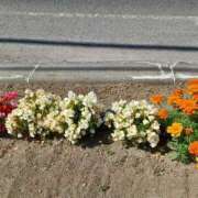 ヒメ日記 2025/07/08 14:59 投稿 みやこ 完熟ばなな札幌・すすきの