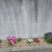 ヒメ日記 2025/07/15 12:39 投稿 みやこ 完熟ばなな札幌・すすきの