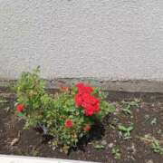 ヒメ日記 2025/07/17 13:00 投稿 みやこ 完熟ばなな札幌・すすきの