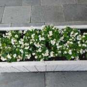 ヒメ日記 2025/07/21 22:05 投稿 みやこ 完熟ばなな札幌・すすきの