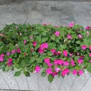 ヒメ日記 2025/07/31 12:29 投稿 みやこ 完熟ばなな札幌・すすきの