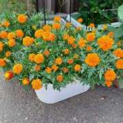 ヒメ日記 2025/08/16 16:59 投稿 みやこ 完熟ばなな札幌・すすきの