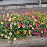 ヒメ日記 2025/08/20 17:52 投稿 みやこ 完熟ばなな札幌・すすきの