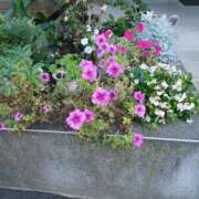 ヒメ日記 2025/08/27 22:09 投稿 みやこ 完熟ばなな札幌・すすきの