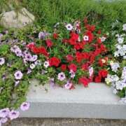 ヒメ日記 2025/09/02 13:49 投稿 みやこ 完熟ばなな札幌・すすきの