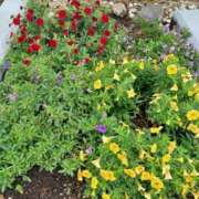 ヒメ日記 2025/09/02 18:59 投稿 みやこ 完熟ばなな札幌・すすきの