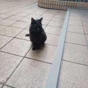 ヒメ日記 2025/09/21 15:39 投稿 みやこ 完熟ばなな札幌・すすきの