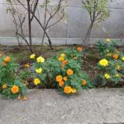 ヒメ日記 2025/09/24 14:49 投稿 みやこ 完熟ばなな札幌・すすきの