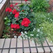 ヒメ日記 2025/09/29 13:39 投稿 みやこ 完熟ばなな札幌・すすきの