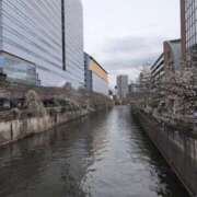 ヒメ日記 2025/03/28 19:56 投稿 北川 昼顔妻 五反田店