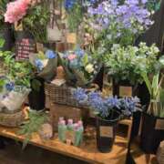 ヒメ日記 2025/05/23 20:26 投稿 北川 昼顔妻 五反田店