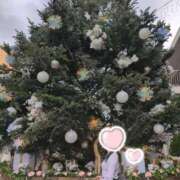 ヒメ日記 2025/11/11 16:15 投稿 北川 昼顔妻 五反田店