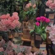 ヒメ日記 2025/12/13 22:06 投稿 北川 昼顔妻 五反田店