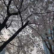 北川 こんにちは 昼顔妻 五反田店