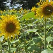 めい 久しぶりに更新 ドマーニ