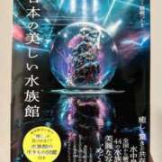 ヒメ日記 2024/08/06 07:01 投稿 みりあ BonBonBon！池袋店