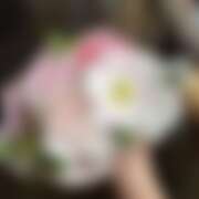 ヒメ日記 2025/09/26 13:04 投稿 愛川 ミセスの手ほどき