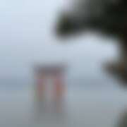 ヒメ日記 2025/10/09 12:00 投稿 愛川 ミセスの手ほどき