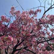 愛川 🌸癒しの時間♡ ミセスの手ほどき