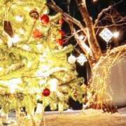 ヒメ日記 2024/12/10 09:15 投稿 あゆみ 待ちナビ