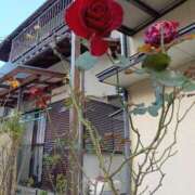 ヒメ日記 2025/01/07 17:05 投稿 あゆみ 待ちナビ