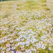 ヒメ日記 2025/01/08 21:45 投稿 あゆみ 待ちナビ