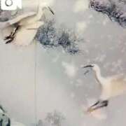 ヒメ日記 2025/01/10 08:14 投稿 あゆみ 待ちナビ