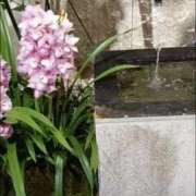 ヒメ日記 2025/01/11 13:33 投稿 あゆみ 待ちナビ