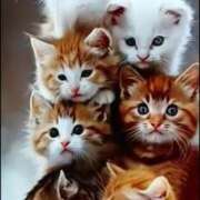 ヒメ日記 2025/01/12 00:25 投稿 あゆみ 待ちナビ