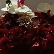 ヒメ日記 2025/01/16 06:25 投稿 あゆみ 待ちナビ