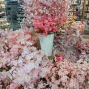 ヒメ日記 2025/01/18 17:15 投稿 あゆみ 待ちナビ