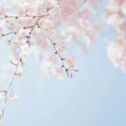 ヒメ日記 2025/03/11 08:13 投稿 あゆみ 待ちナビ