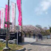 ヒメ日記 2025/04/04 15:00 投稿 あゆみ 待ちナビ