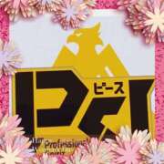 ヒメ日記 2025/04/11 07:23 投稿 あゆみ 待ちナビ